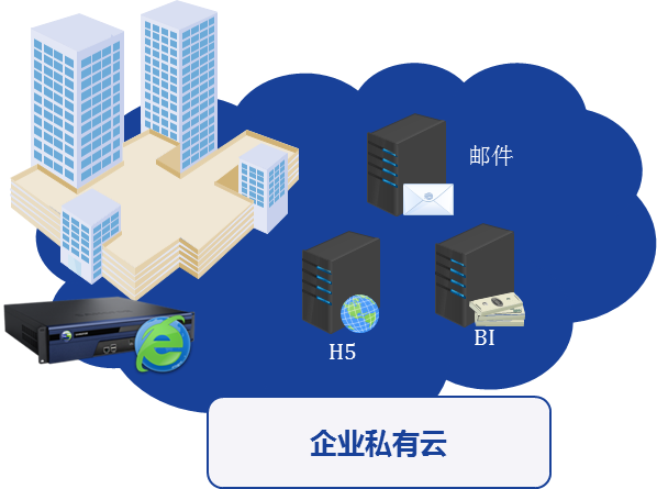 SSL VPN